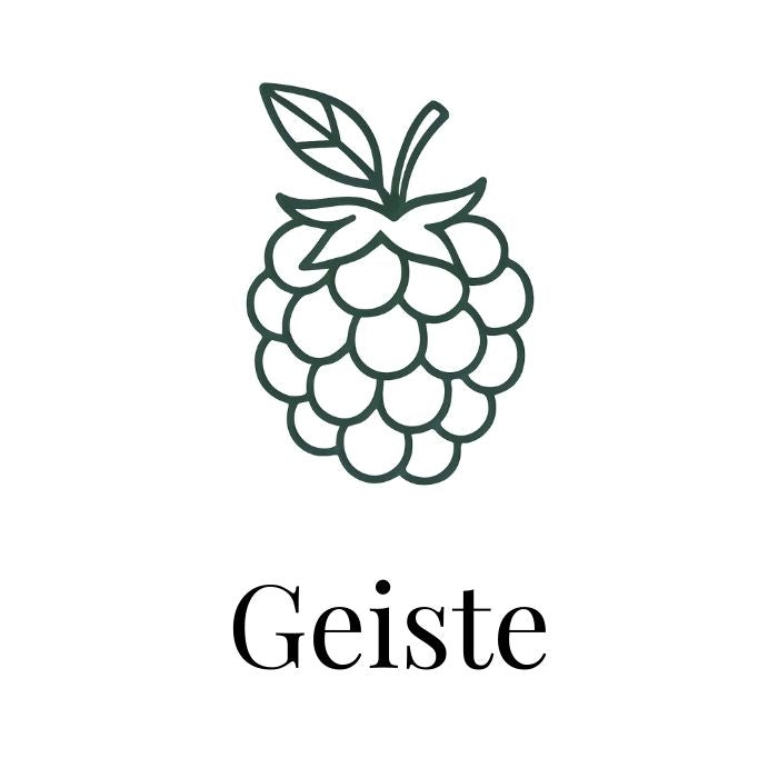 Geiste